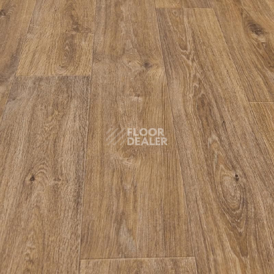 Линолеум IVC Texart MARCON OAK W42 фото 1 | FLOORDEALER
